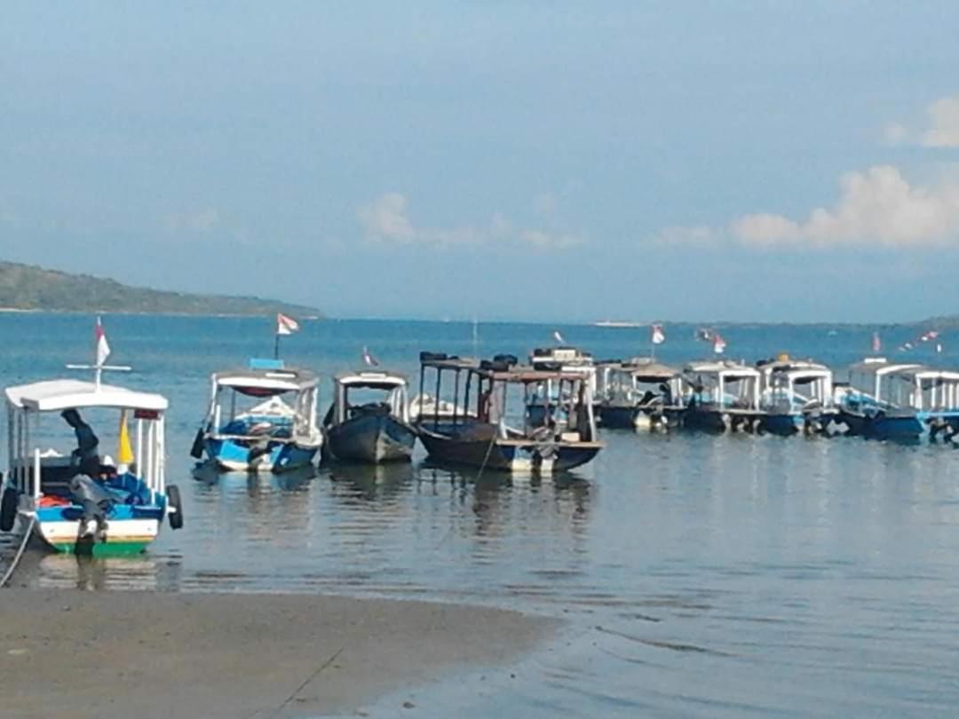 Putu Guest House Pemuteran Kültér fotó
