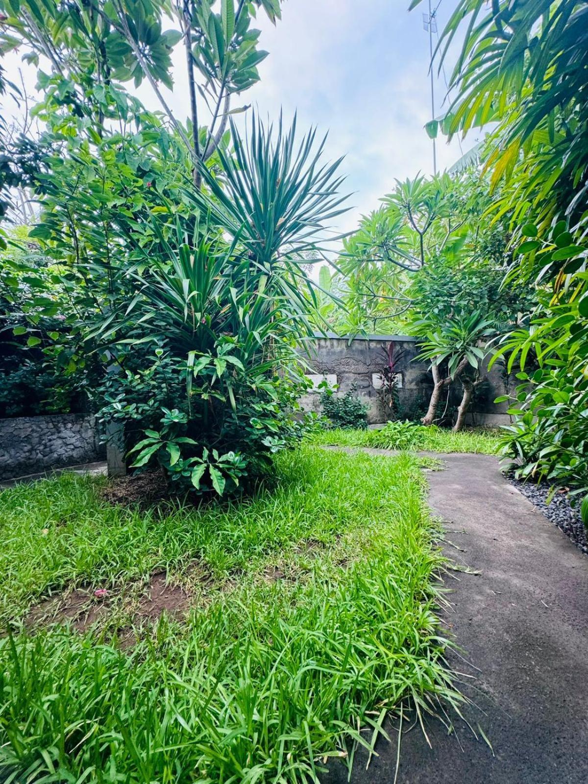 Putu Guest House Pemuteran Kültér fotó