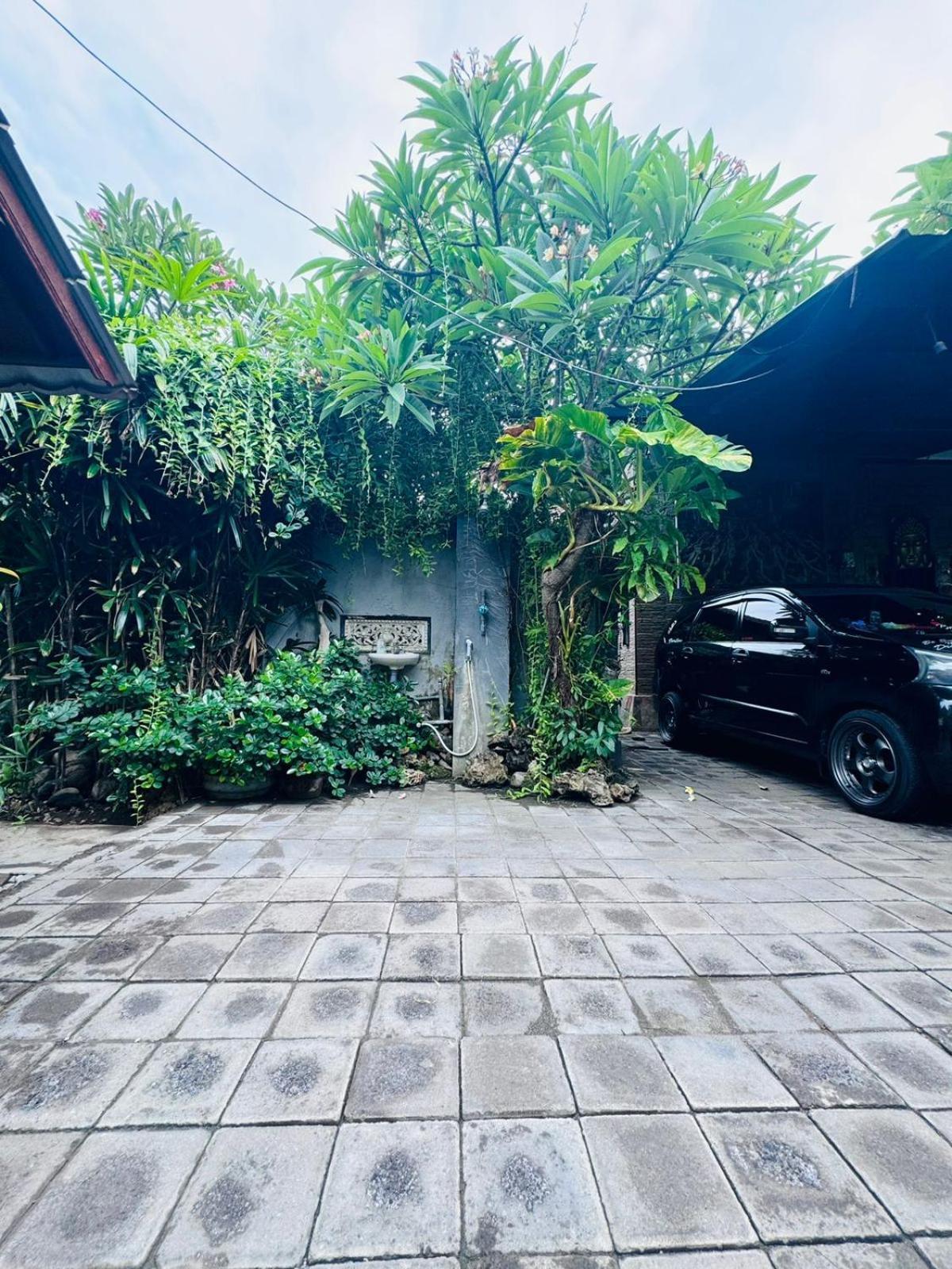 Putu Guest House Pemuteran Kültér fotó